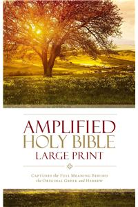 Amplified Holy Bible, Large Print, Hardcover