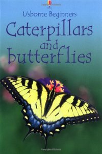 Caterpillars and Butterflies (Beginners)