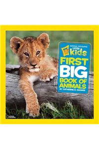 Little Kids First Big Book of Animals