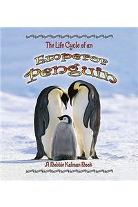 Life Cycle of an Emperor Penguin