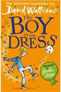 The Boy in the Dress