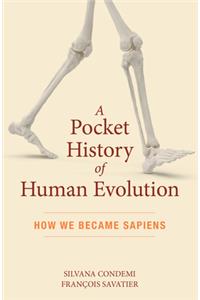Pocket History of Human Evolution