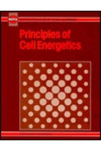 Cell Energetics, Principles of