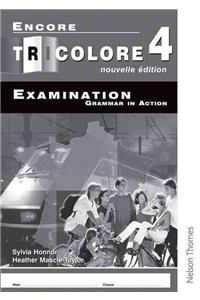 Encore Tricolore Nouvelle 4 Grammar in Action Pack (x8)