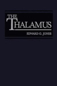 Thalamus
