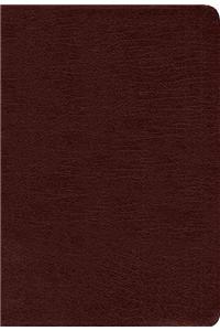 Amplified Holy Bible, Large Print, Bonded Leather, Burgundy