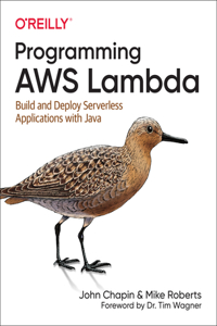 Programming Aws Lambda