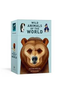 Wild Animals of the World: 50 Postcards