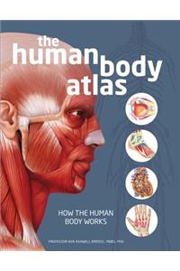 The Human Body Atlas