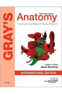 Gray's Anatomy