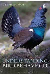 Understanding Bird Behaviour