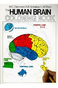 Human Brain Coloring Book