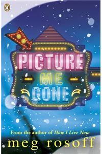 Picture Me Gone