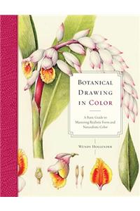 Botanical Drawing in Color