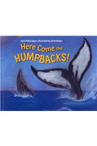 Here Come the Humpbacks!