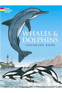 Whales and Dolphins: Colouring Book
