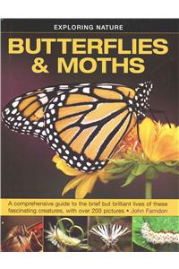 Exploring Nature: Butterflies & Moths