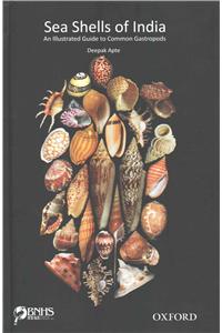 Sea Shells of India