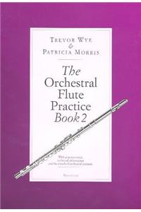 The Orchestral Flute Practice