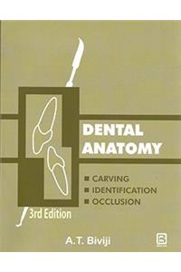 Dental Anatomy - Carving, Identification, Occlusion