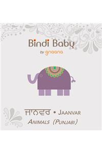 Bindi Baby Animals (Punjabi)