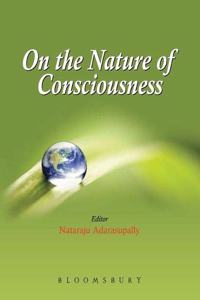 On the Nature of the Consciousness