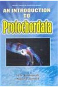 An Introduction To Protochordata