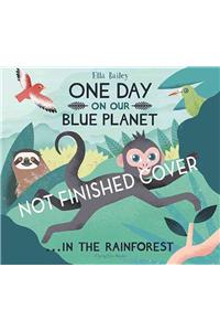 One Day On Our Blue Planet ...In the Rainforest