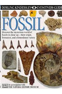 Fossil (Eyewitness)