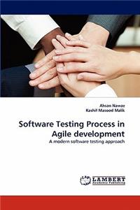 Software Testing Process in Agile Development