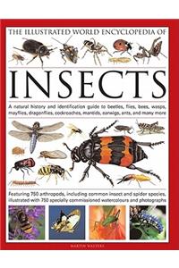 Illustrated World Encyclopedia of Insects