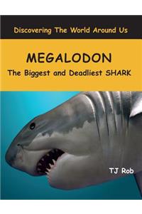 Megalodon