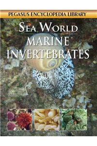 Marine Invertebrates