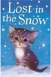 Lost in the Snow