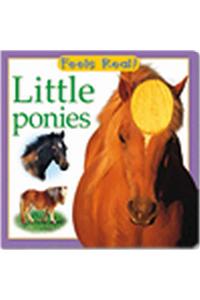 Feels Real - Little Ponies: A Feels Real Book to Touch and Share