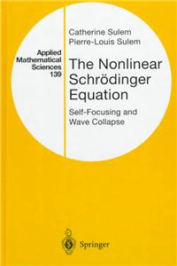 Nonlinear Schrödinger Equation