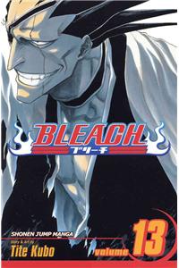 Bleach, Vol. 13