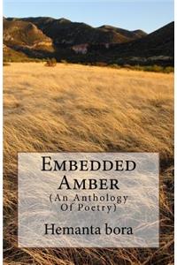 Embedded Amber