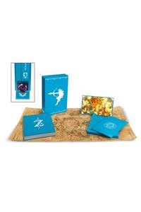 Legend of Zelda: Breath of the Wild-Creating a Champion Hero's Edition