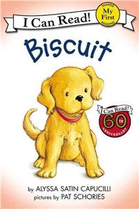 Biscuit