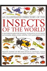 Illustrated Directory of the Insects of the World