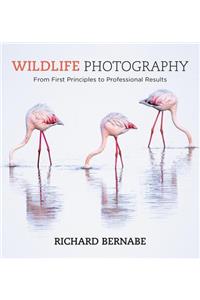 Wildlife Photography
