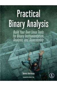 Practical Binary Analysis