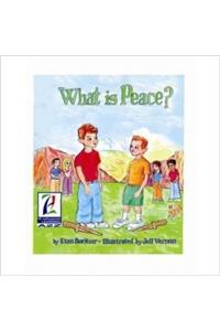 What is Peace ?