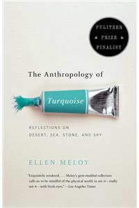 Anthropology of Turquoise
