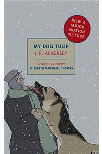 My Dog Tulip