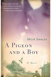 A Pigeon and a Boy