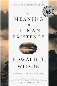 Meaning of Human Existence