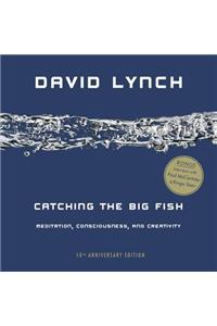 Catching the Big Fish: Meditation, Consciousness, and Creativity