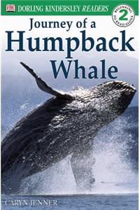 Journey of a Humpback Whale